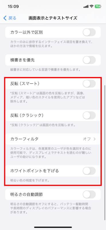 アクセシビリティ設定