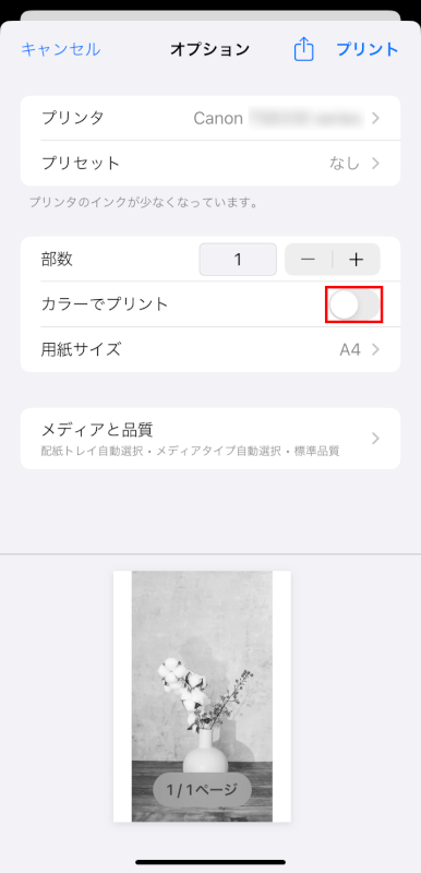 白黒印刷に設定できる