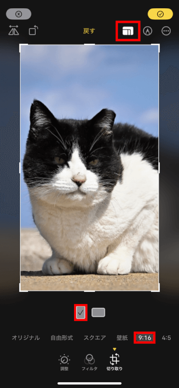 アスペクト比を指定