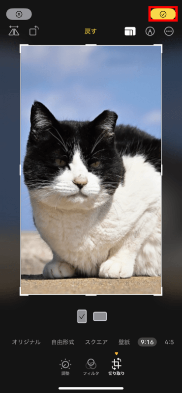 チェックマークをタップ