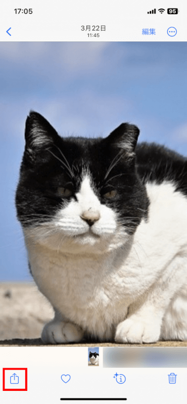 共有アイコンをタップ