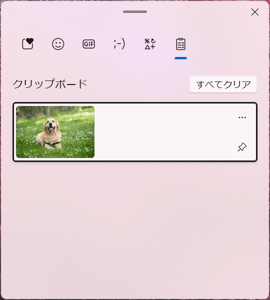 Foxit PDF Readerでスナップショットできた