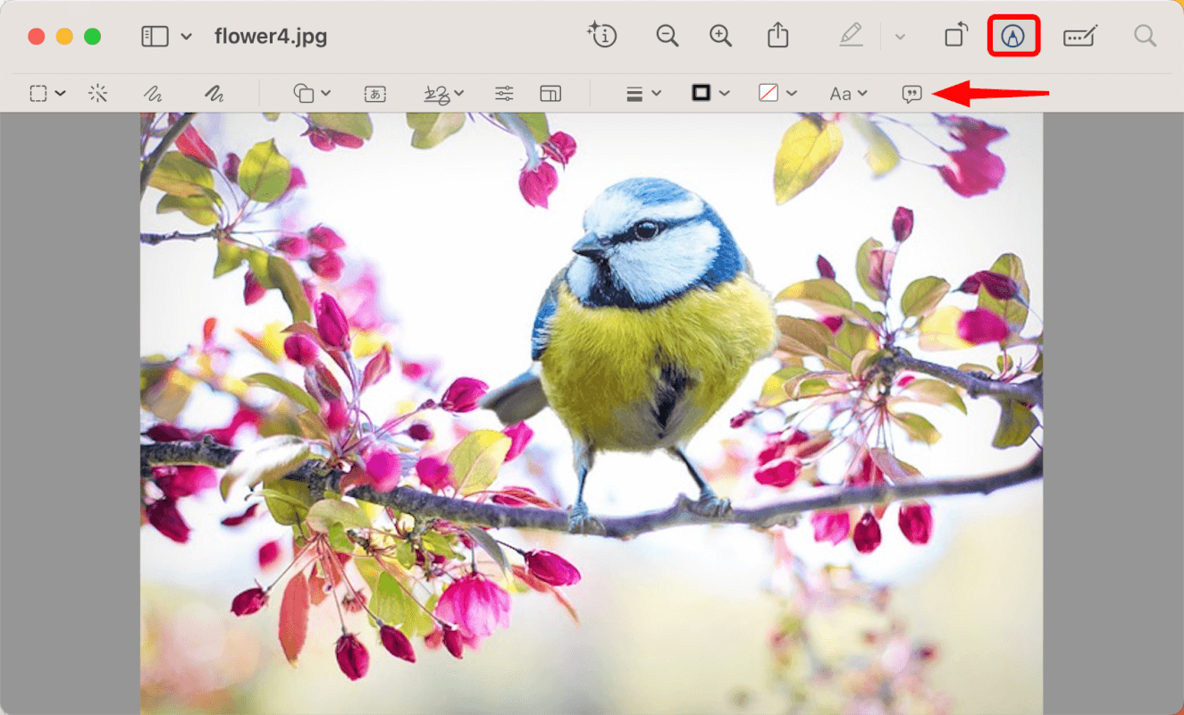 マークアップツールで編集できる