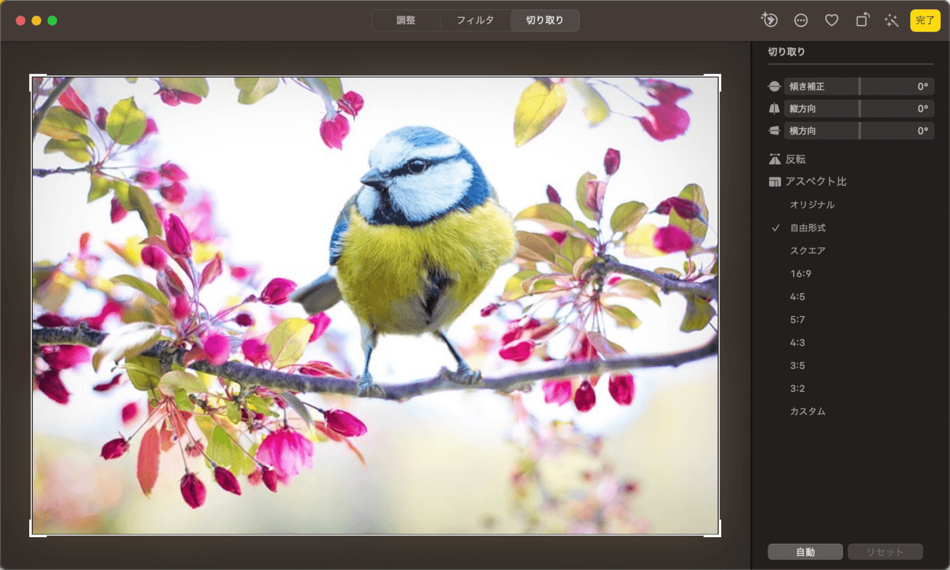 写真アプリの機能について