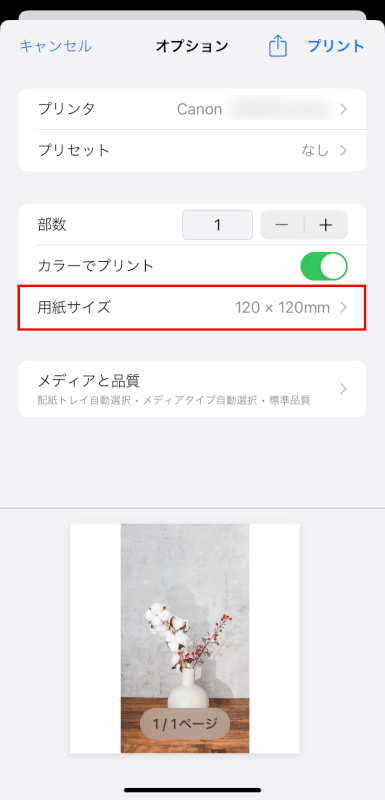 用紙サイズをタップする